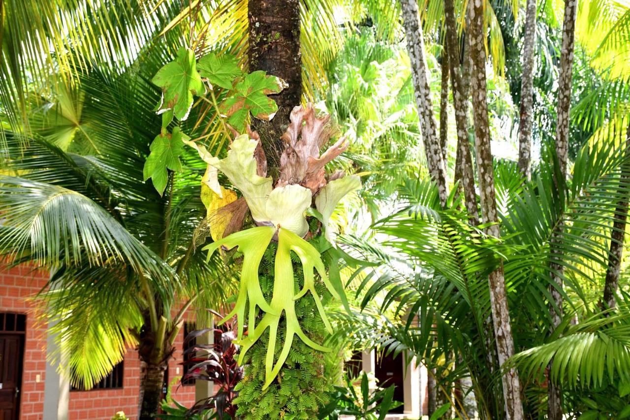Hotel Ambaibo Rurrenabaque Eksteriør billede